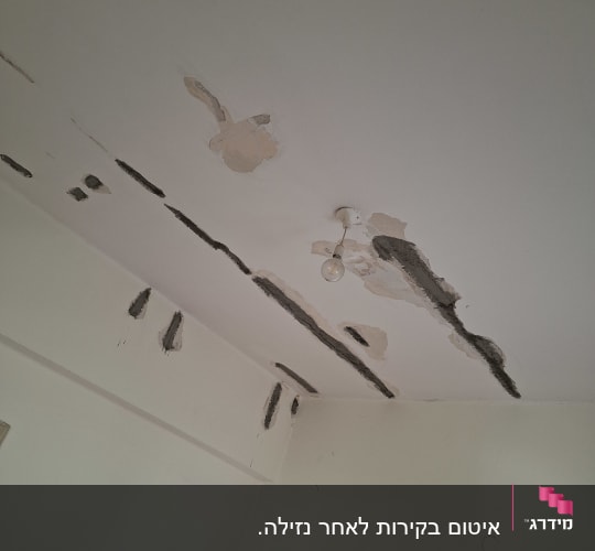 שיקום ותיקון נזקי רטיבות ואיטום בתקרה פנימית